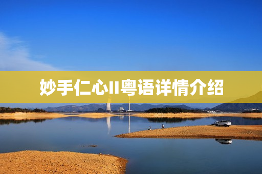 妙手仁心II粤语详情介绍