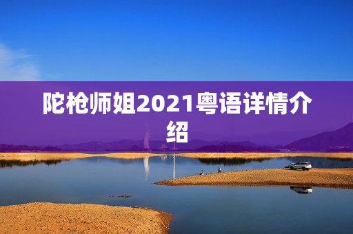 陀枪师姐2021粤语详情介绍