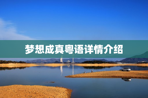 梦想成真粤语详情介绍