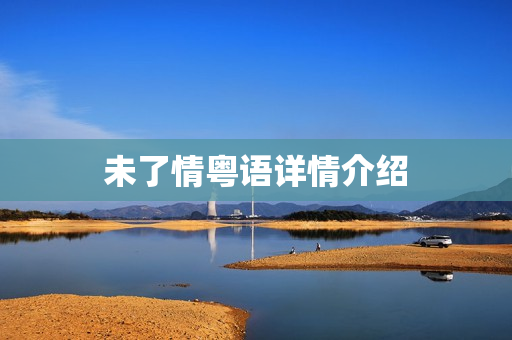 未了情粤语详情介绍