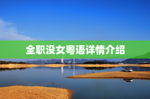 全职没女粤语详情介绍