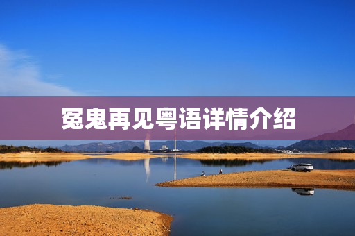 冤鬼再见粤语详情介绍