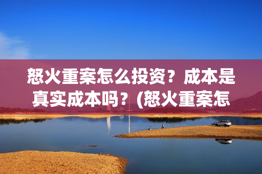 怒火重案怎么投资？成本是真实成本吗？(怒火重案怎么过审的)