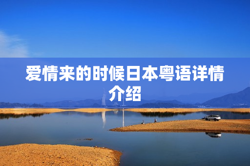 爱情来的时候日本粤语详情介绍