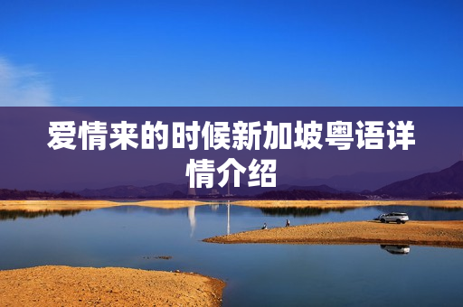 爱情来的时候新加坡粤语详情介绍