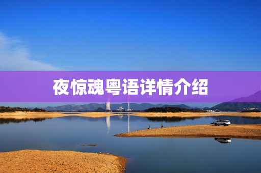 夜惊魂粤语详情介绍
