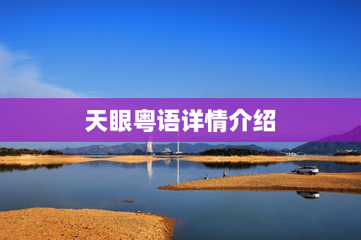 天眼粤语详情介绍
