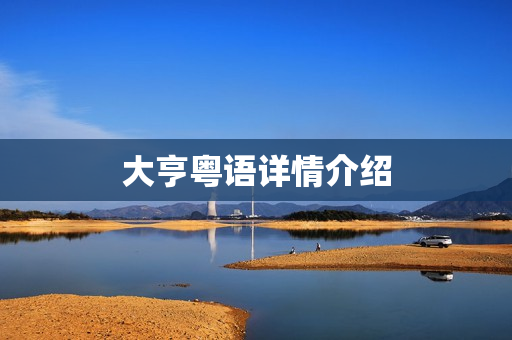 大亨粤语详情介绍