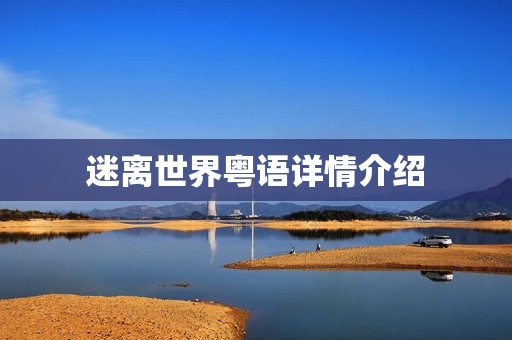 迷离世界粤语详情介绍