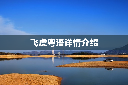 飞虎粤语详情介绍