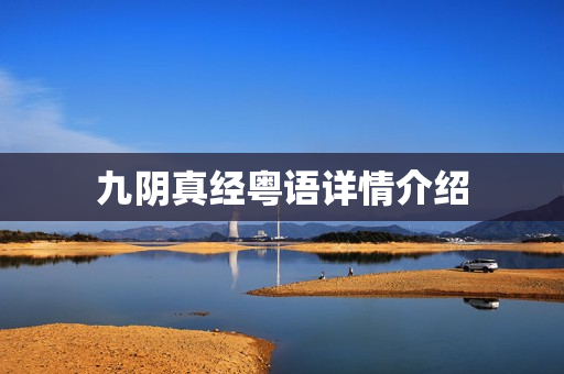 九阴真经粤语详情介绍