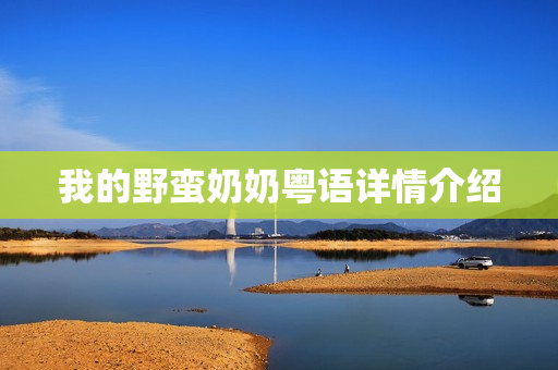 我的野蛮奶奶粤语详情介绍