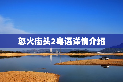 怒火街头2粤语详情介绍