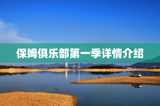 保姆俱乐部第一季详情介绍
