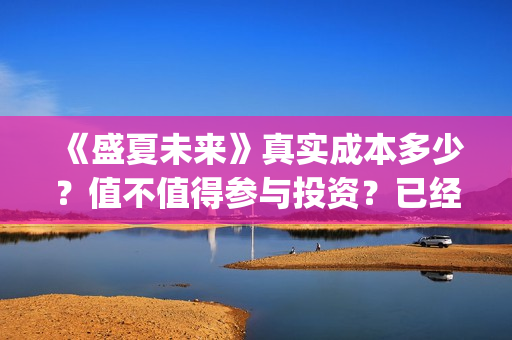 《盛夏未来》真实成本多少？值不值得参与投资？已经定档了吗？(盛夏未来zy)
