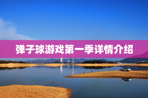 弹子球游戏第一季详情介绍