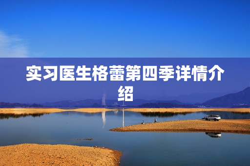 实习医生格蕾第四季详情介绍