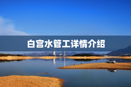 白宫水管工详情介绍