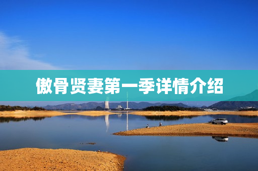 傲骨贤妻第一季详情介绍