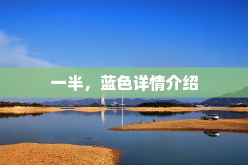 一半，蓝色详情介绍