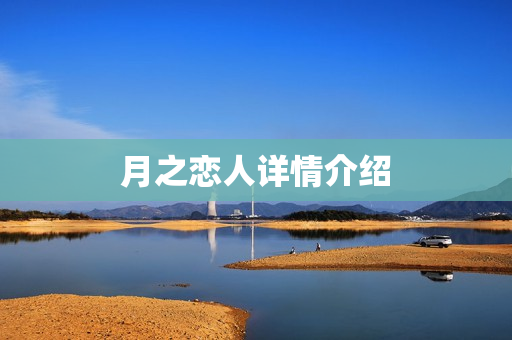 月之恋人详情介绍