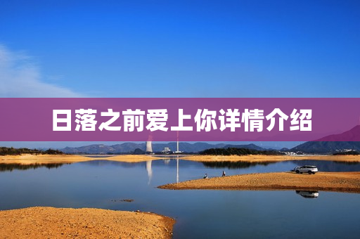 日落之前爱上你详情介绍