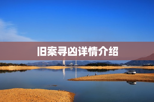 旧案寻凶详情介绍