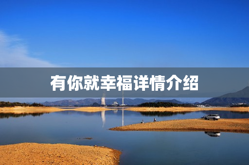 有你就幸福详情介绍