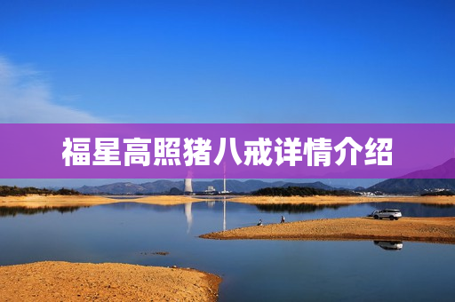 福星高照猪八戒详情介绍