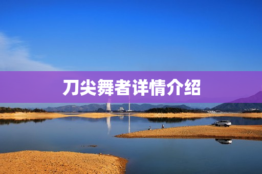 刀尖舞者详情介绍