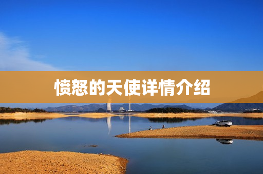 愤怒的天使详情介绍