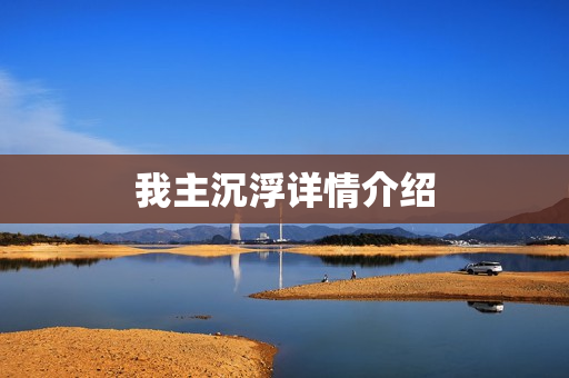 我主沉浮详情介绍