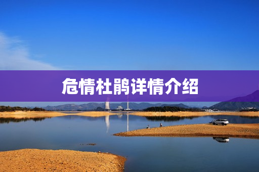 危情杜鹃详情介绍