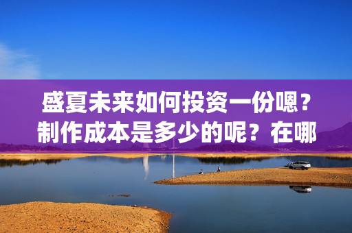 盛夏未来如何投资一份嗯？制作成本是多少的呢？在哪投资靠谱呢？(盛夏未来怎么买票)