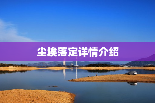 尘埃落定详情介绍