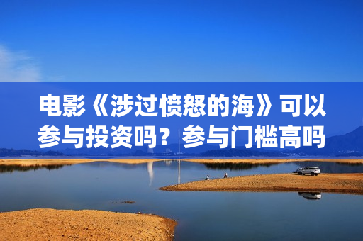 电影《涉过愤怒的海》可以参与投资吗？参与门槛高吗？(涉过愤怒的海小说在线阅读)