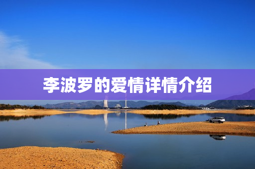 李波罗的爱情详情介绍