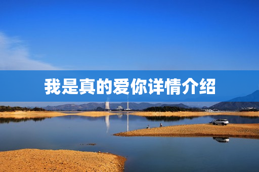 我是真的爱你详情介绍