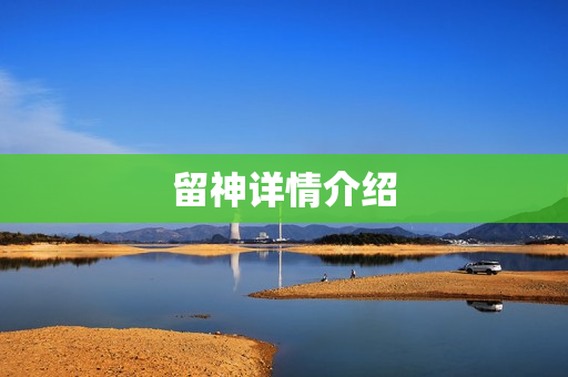 留神详情介绍