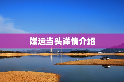 媒运当头详情介绍