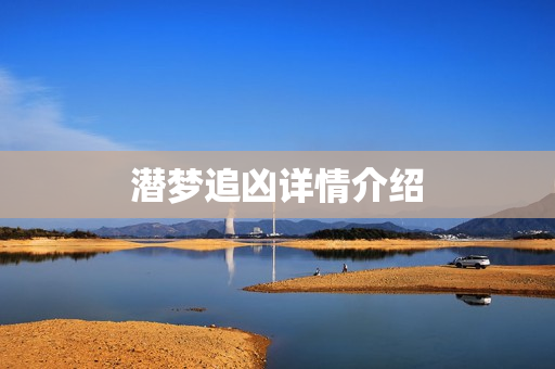潜梦追凶详情介绍