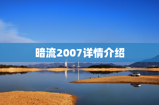 暗流2007详情介绍