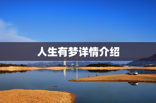 人生有梦详情介绍