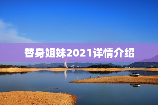 替身姐妹2021详情介绍