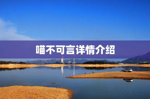 喵不可言详情介绍
