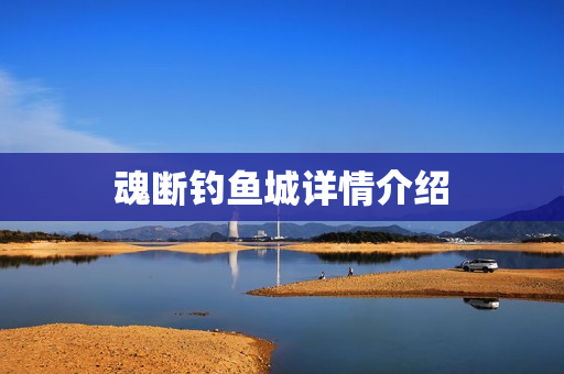 魂断钓鱼城详情介绍