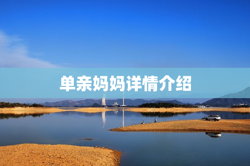 单亲妈妈详情介绍