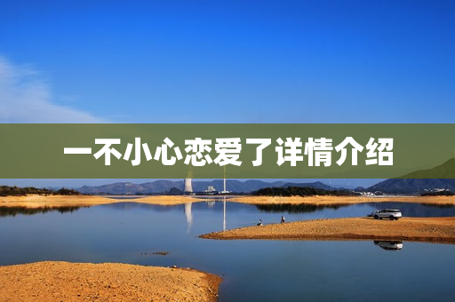 一不小心恋爱了详情介绍