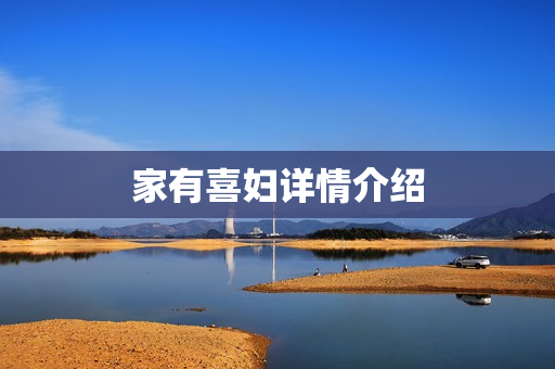 家有喜妇详情介绍