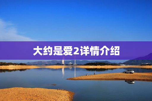 大约是爱2详情介绍